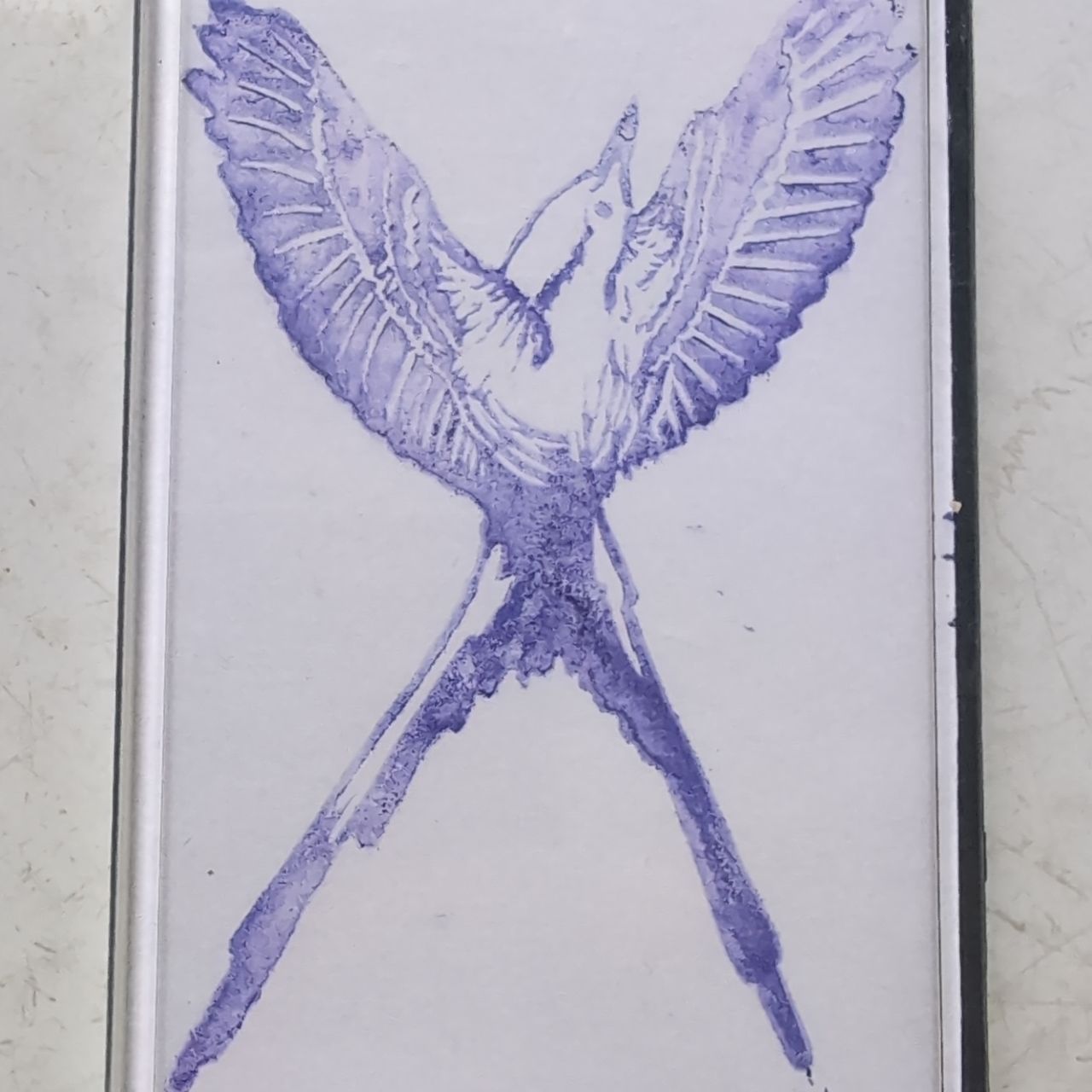 a bird with wings and tail feathers outstretched to form an X