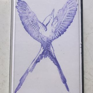 a bird with wings and tail feathers outstretched to form an X